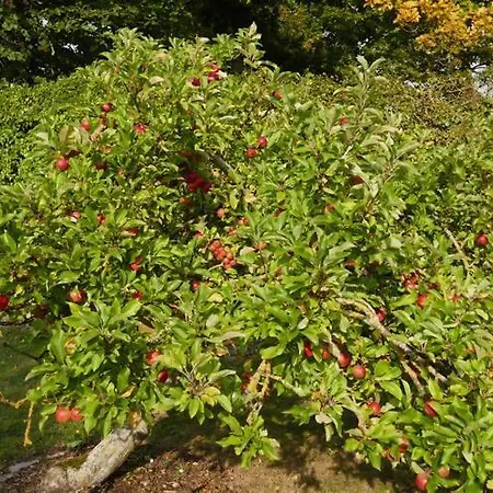 Сasa de vacaciones Sturmfrei Auf Fehmarn *