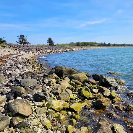 Sturmfrei Auf Fehmarn