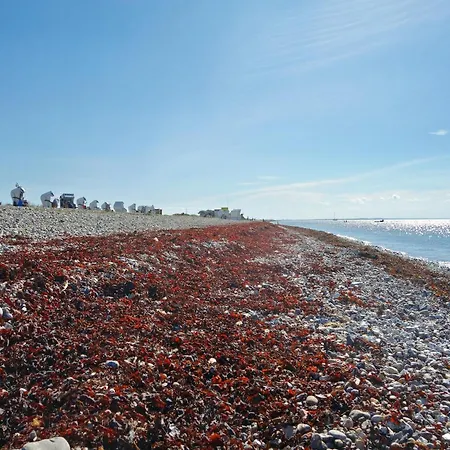Sturmfrei Auf Fehmarn